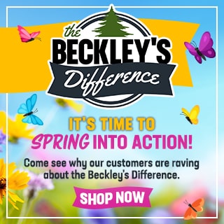 April - Spring into Action - no wash & inspect