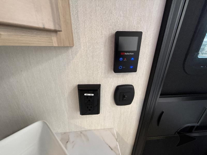 【限定板付】P053超レア種！レカノプテリス トリトリワイルド現地球7/2輸入！ 限定板付】P053超レア種！レカノプテリス トリトリワイルド現地球7/2