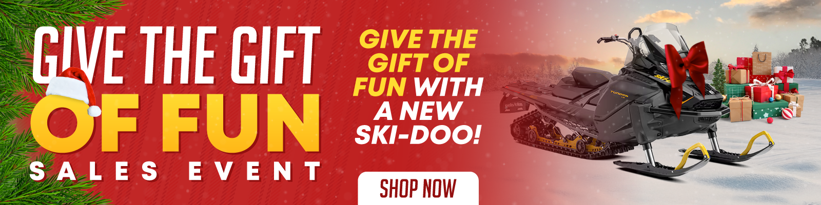 Give the Gift of Fun