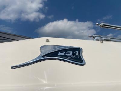 New 2024 Stingray 231DC