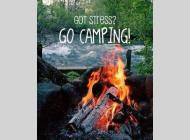 Used 2020 Entegra Coach Emblem 36U image