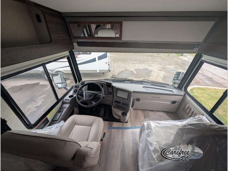 Forza/34T/2025 image-5