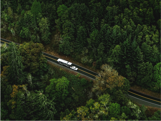 RV on Road in Woods