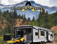 Adrenaline