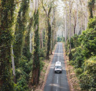 An RV driving on a road through the woods.