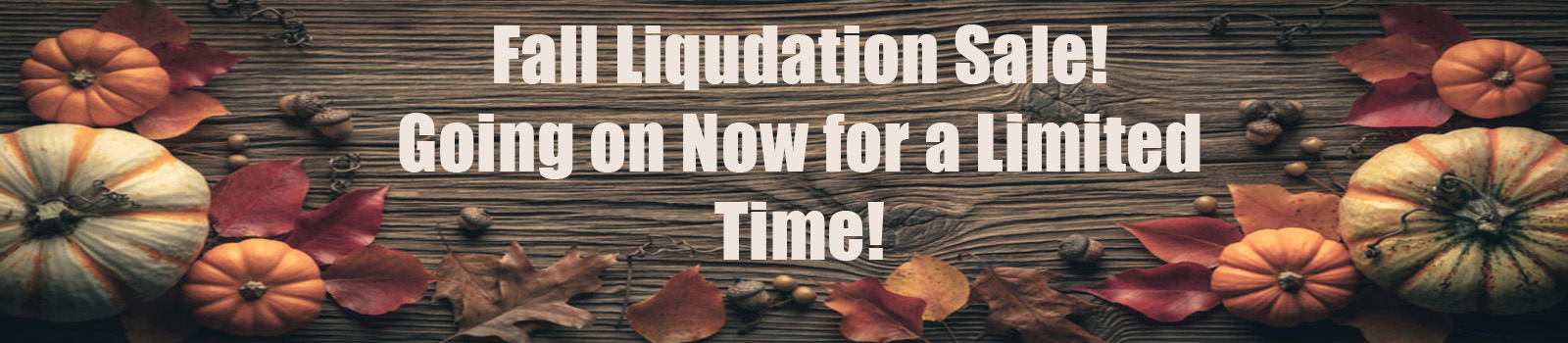 Fall liquidation sale