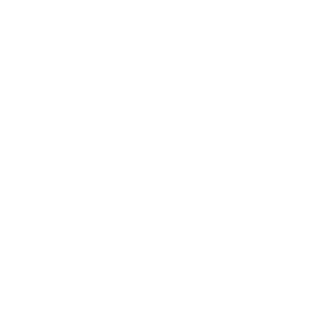 document icon