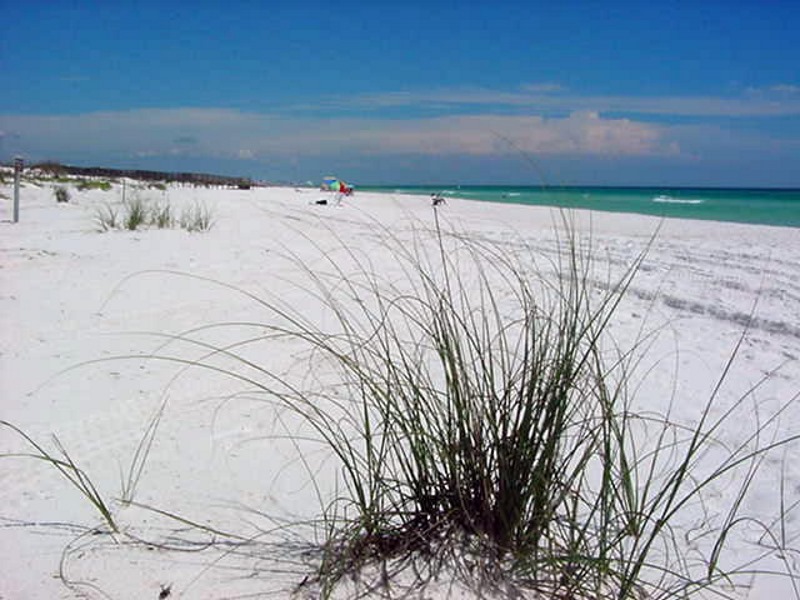 Henderson Beach