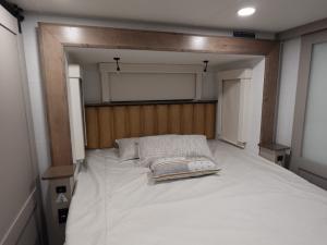 Paradigm 395DS Photo