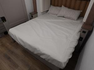 Paradigm 395DS Photo