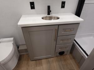 Paradigm 395DS Photo
