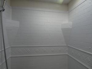 Tracer 255DS Photo