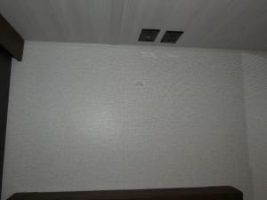 Springdale 266DECK Photo