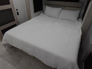 Solitude 380FL Photo