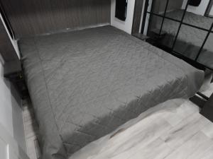 Alpine Avalanche Edition 321RL Photo