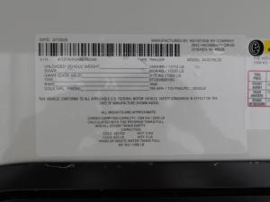 Alpine Avalanche Edition 321RL Photo