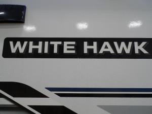 White Hawk 29BH Photo