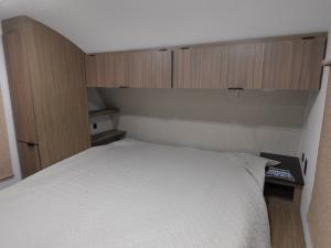 Wildwood X-Lite 263BHXL Photo