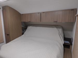 Wildwood X-Lite 263BHXL Photo