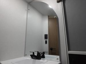 Wildwood X-Lite 263BHXL Photo