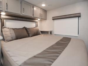 Pasadena SE SE31 Photo