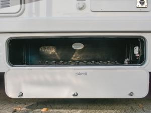 Pasadena SE SE31 Photo