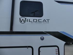 Wildcat ONE 38BET Photo