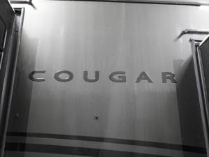 Cougar 320RDS Photo