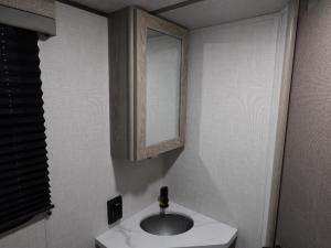 Salem FSX 266BHLE Photo