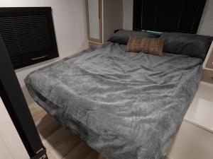 Salem Hemisphere 310BHI Photo