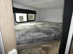Freedom Express Select 21SE Photo