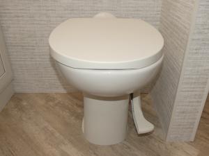 Accolade 37L Photo