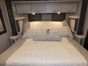 Aria 3901 Photo