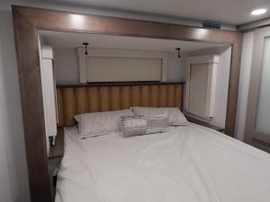 Paradigm 310RL Photo