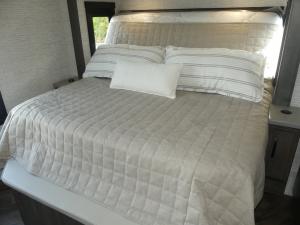 Accolade 37M Photo
