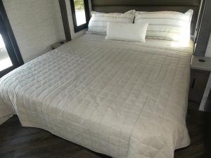 Accolade 37M Photo