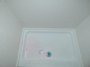 Springdale Classic Mini 1760BH Photo