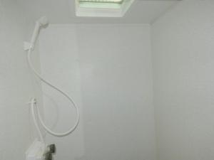 Springdale Classic Mini 1760BH Photo