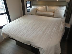 Accolade XL 37M Photo