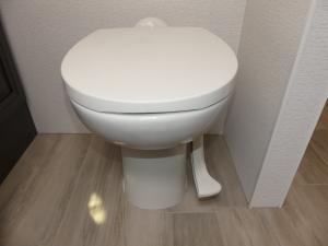 Accolade XL 37M Photo