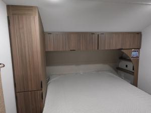 Wildwood X-Lite 26ICE Photo