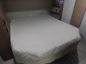 Wildwood X-Lite 26ICE Photo