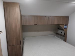 Salem Cruise Lite 26ICE Photo