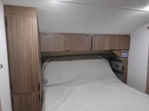 Salem Cruise Lite 26ICE Photo