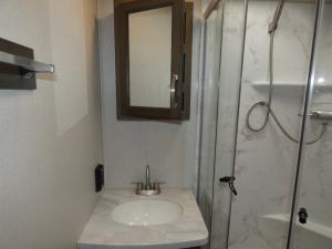 Cougar Half-Ton 22RBS Photo