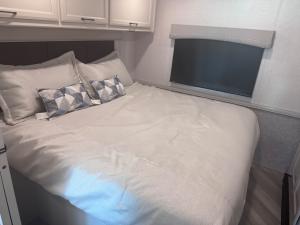 Flair 29M Photo