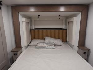 Paradigm 395DS Photo