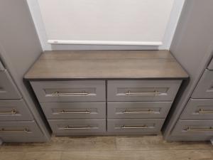 Paradigm 395DS Photo