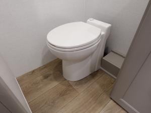 Paradigm 395DS Photo