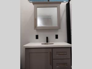 Paradigm 395DS Photo